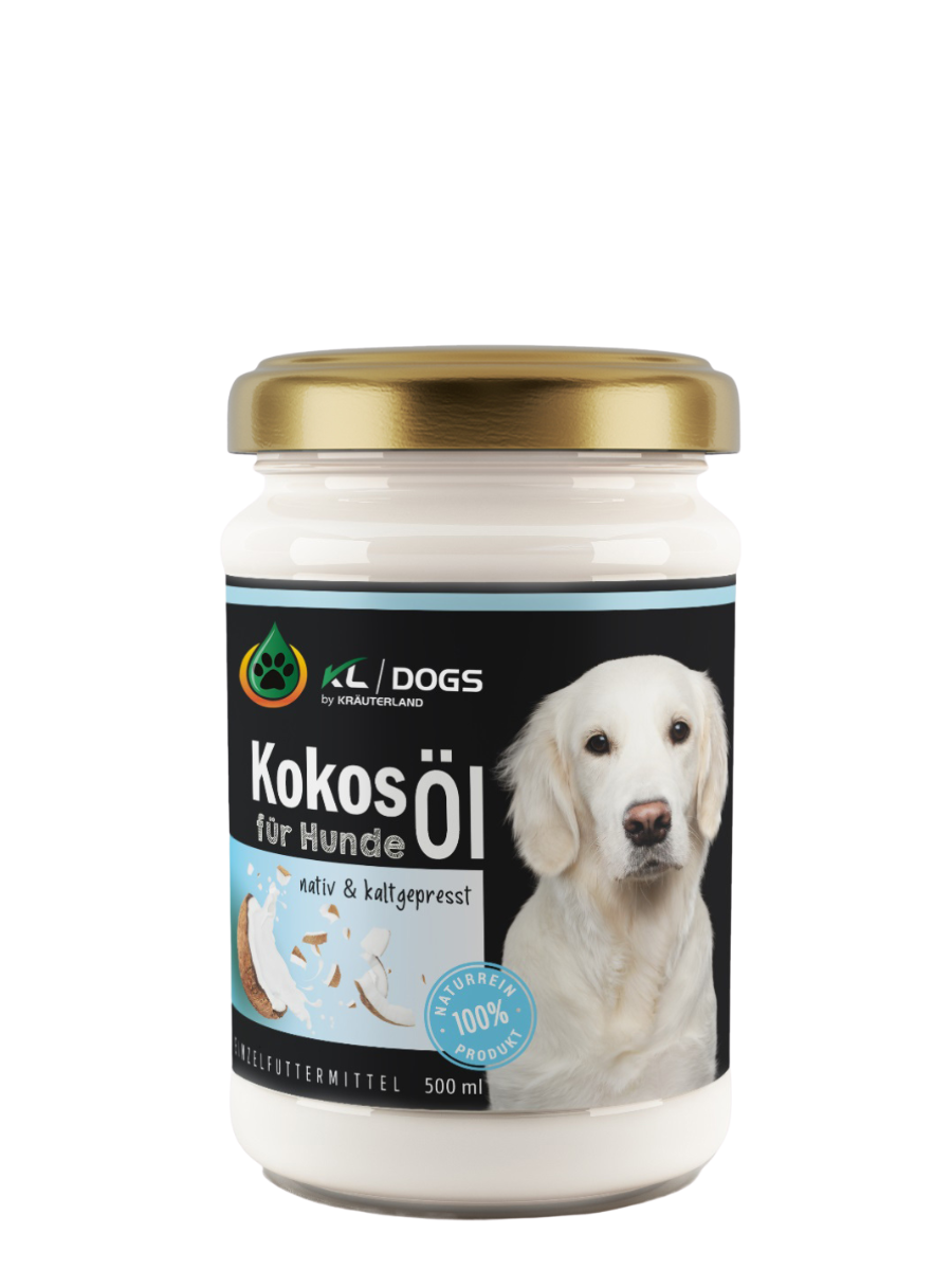 Kokosöl für Hunde Kokosöl für Hunde
