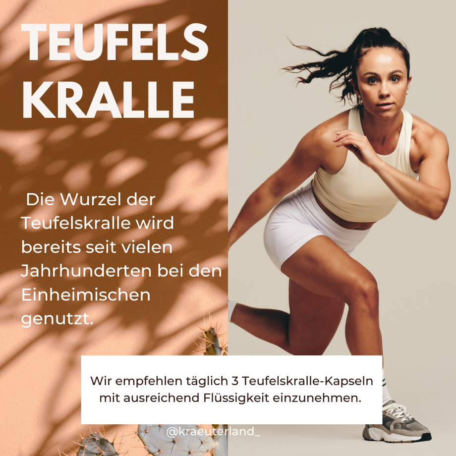 Teufelskralle Kapseln 150 Stück Erklärung