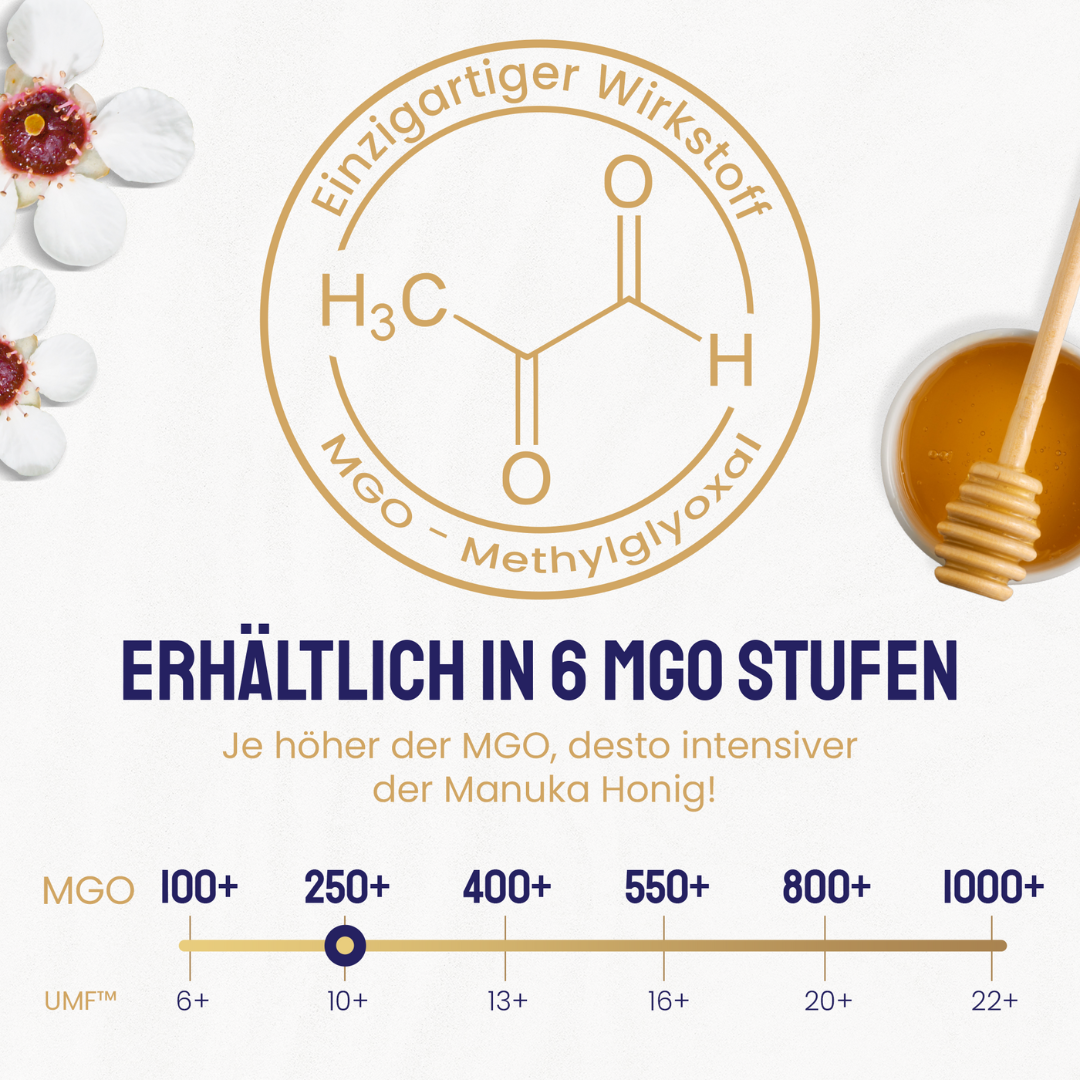 Infografik zu MGO-Gehalten im Manuka Honig von NewBeeLand, chemische Formel Methylglyoxal (MGO) und Skala von 100+ bis 1000+, markiert bei 250+.