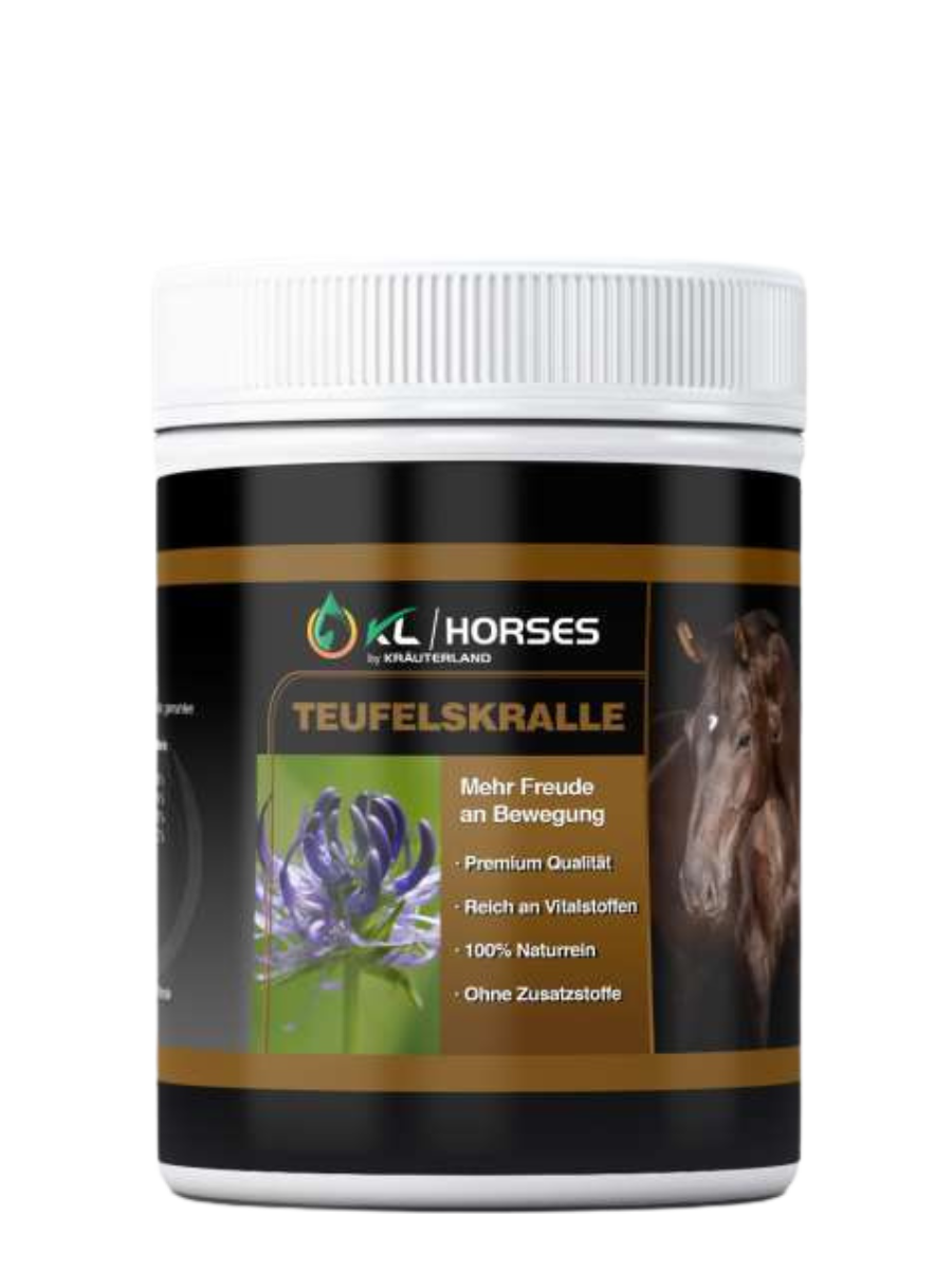 Teufelskralle Pulver für Pferde 500g