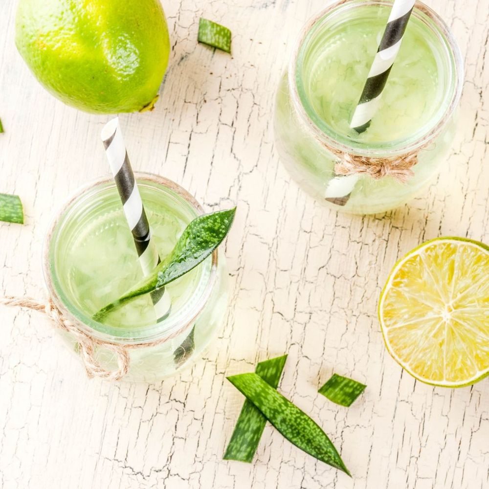 Erfrischender Aloe Vera-Zitronen-Detox Saft