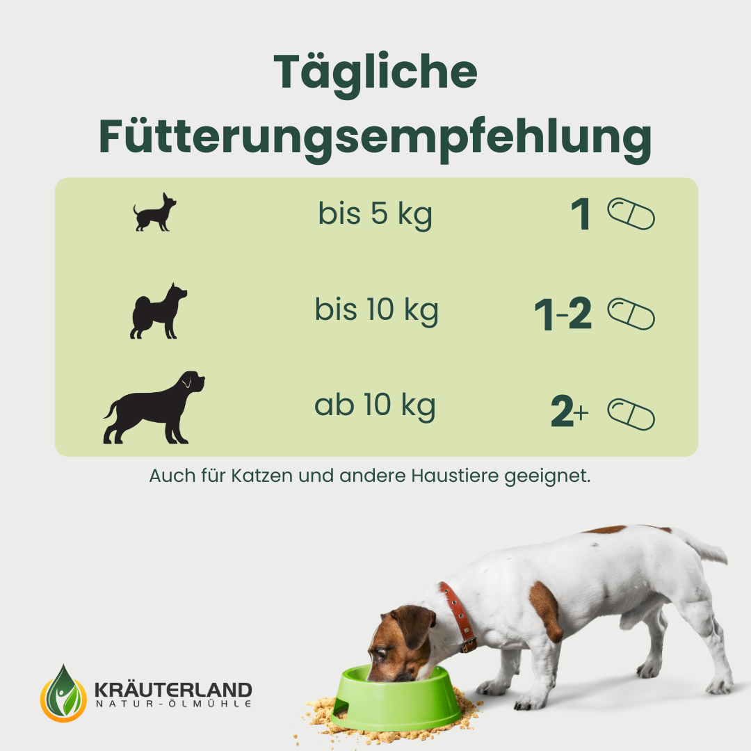 gruenlippmuschel-kapseln-hunde-fuetterungsempfehlung Grünlippmuschel Kapseln für Hunde 300 Stück