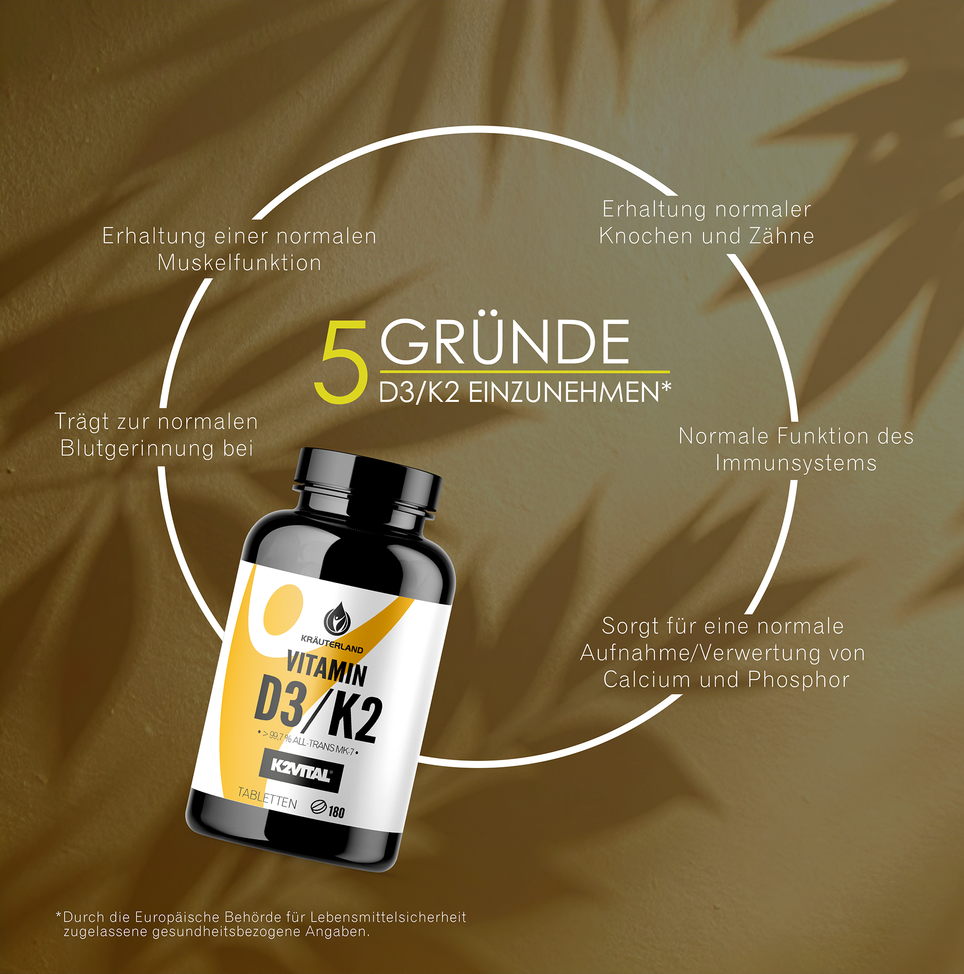 5 Gründe für Kräuterland Vitamin D3 + K2 – Für Knochen, Muskeln & Immunsystem Grafik „5 Gründe D3/K2 einzunehmen“ mit Kräuterland Dose in der Mitte, Vorteilen für Knochen, Muskeln, Immunsystem und Blutgerinnung.