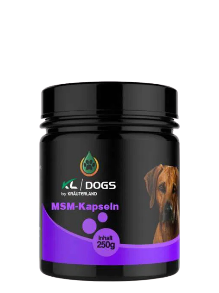 MSM Kapseln für Hunde 250g