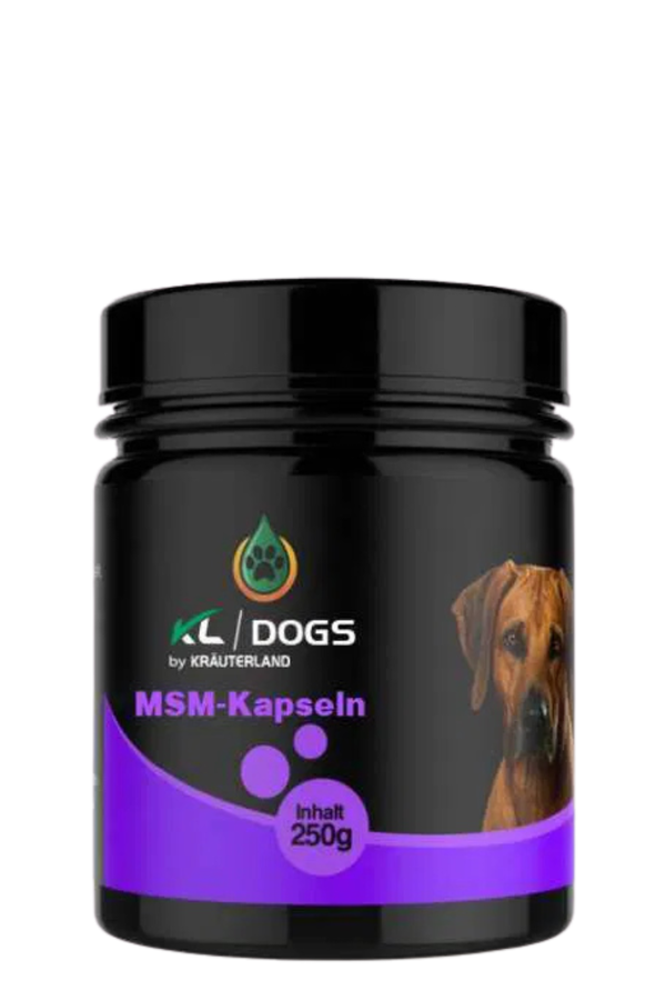 MSM Kapseln für Hunde 250g