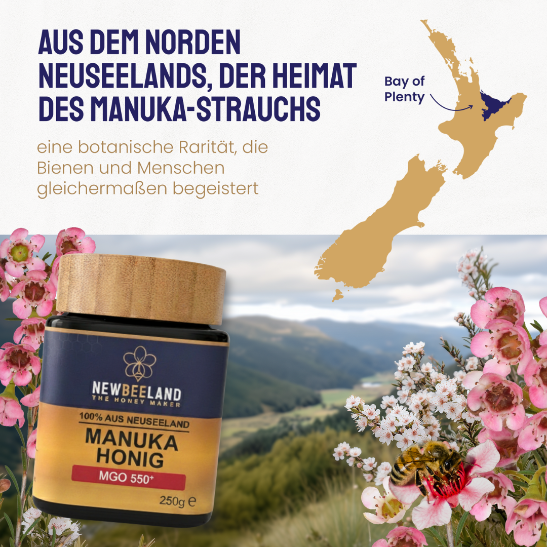 NewBeeLand Manuka Honig MGO 550+ mit Karte Neuseelands, markierter Region Bay of Plenty, blühenden Manuka-Sträuchern und Landschaft im Hintergrund.