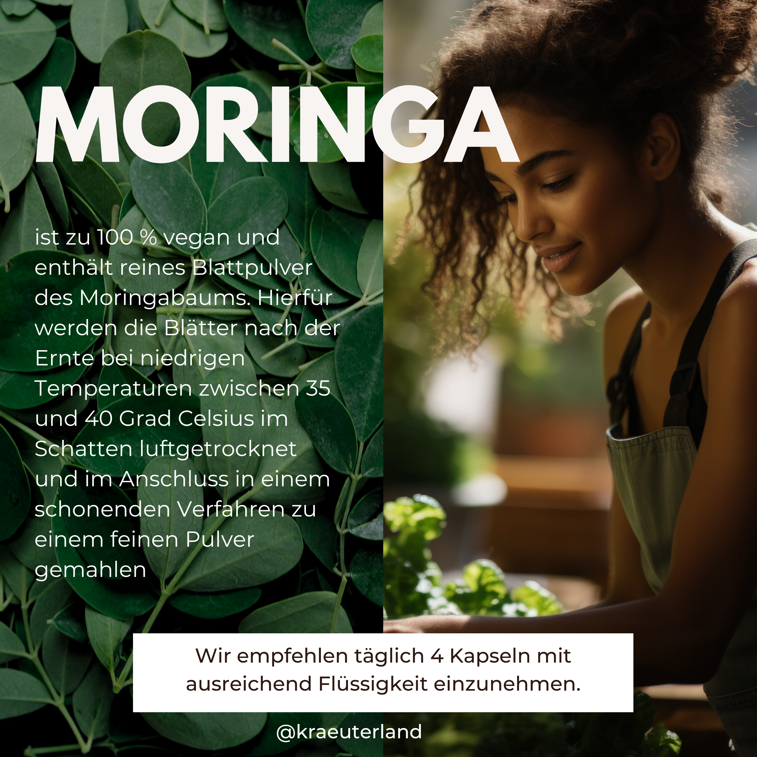 Verzehrempfehlung Moringa Kapseln Verzehrempfehlung Moringa Kapseln