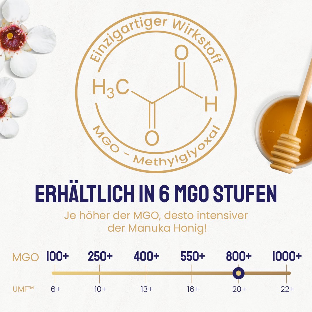 Infografik mit chemischer Formel Methylglyoxal (MGO) und Skala der MGO-Stufen von 100+ bis 1000+, Markierung auf 800+, Hinweis: Je höher der MGO, desto intensiver der Manuka Honig.