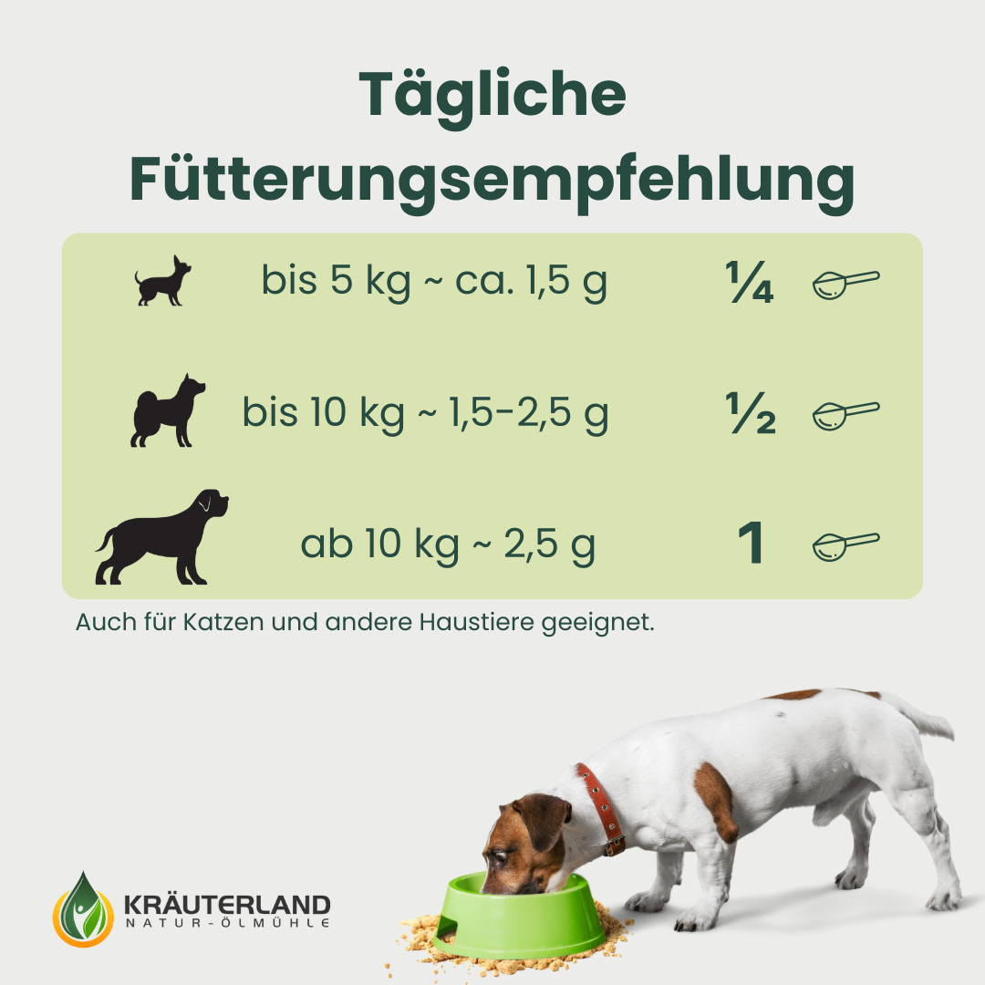 gruenlippmuschpulver-500g-hunde-fuetterungsempfehlung Fütterungsempfehlung Grünlippmuschelpulver