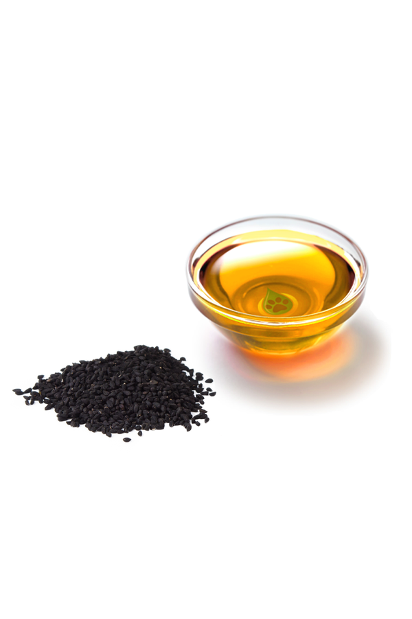 Schwarzkümmelsamen und Schwarzkümmelöl in einer Schale