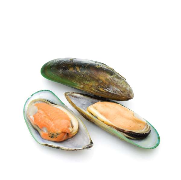 grunlippmuscheln-mit-link