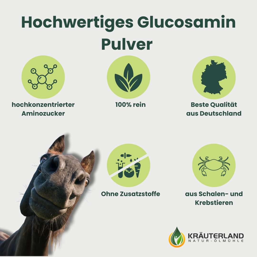 Vorteile von Kräuterland Glucosamin Pulver für Pferde 1 kg Vorteile von Kräuterland Glucosamin Pulver für Pferde 1 kg