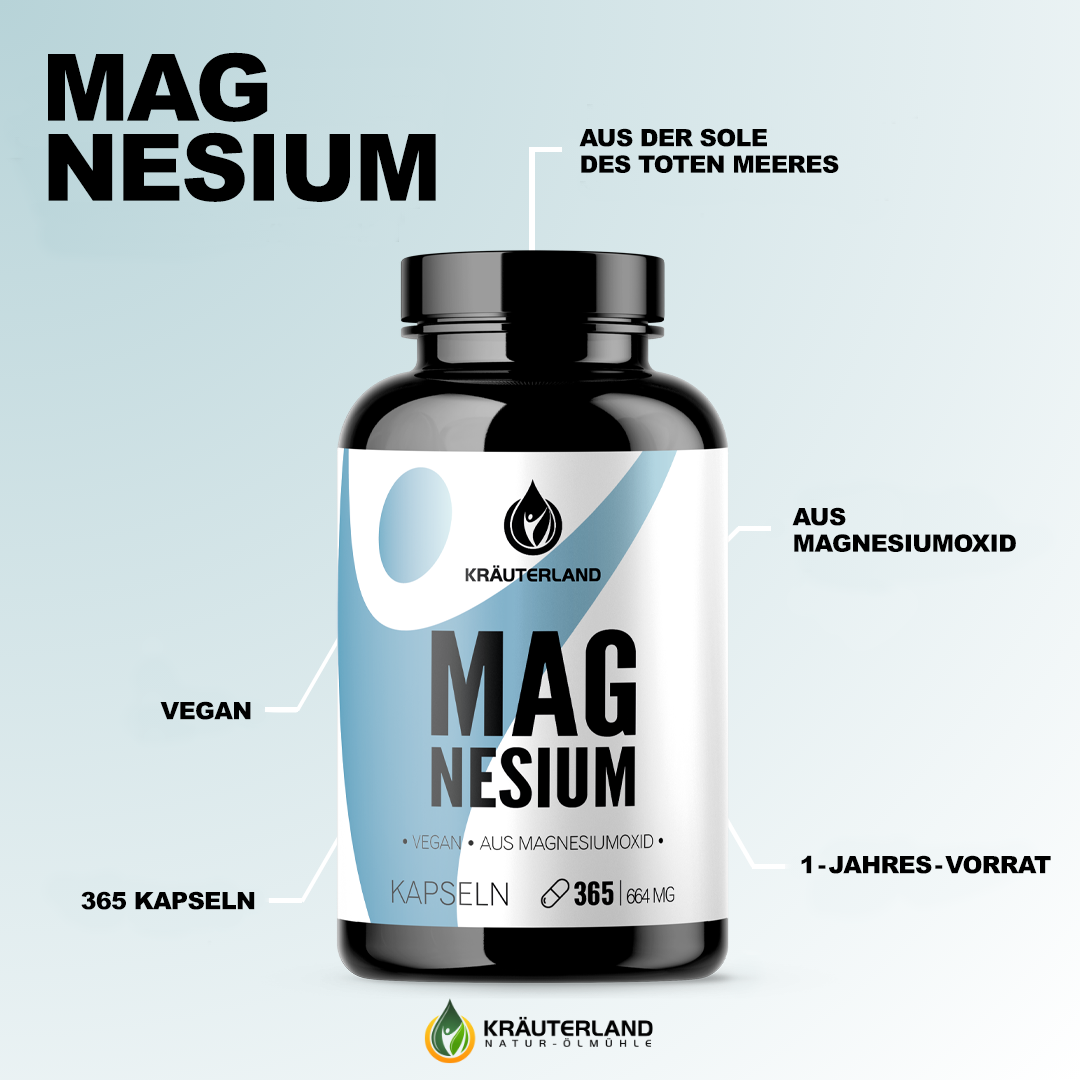 Eigenschaften von Magnesium Kapseln 365 Stück
