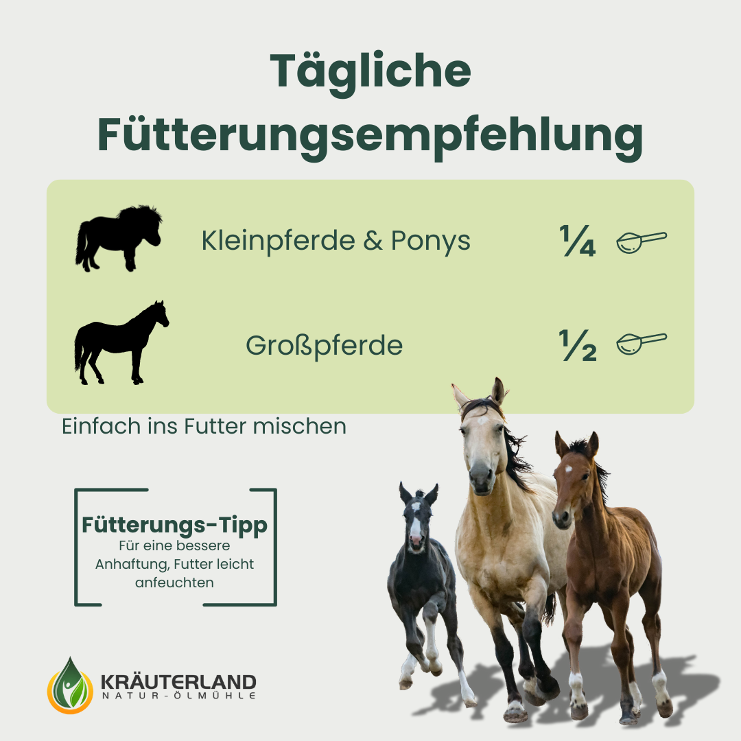 Fütterungsempfehlung für Glucosamin Pulver für Pferde 1 kg Fütterungsempfehlung für Glucosamin Pulver für Pferde 1 kg