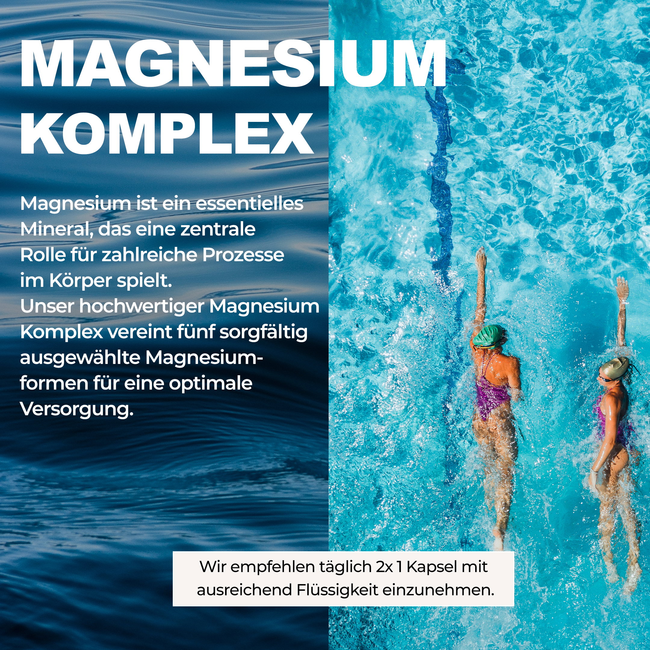 Magnesium Komplex Einnahmeempfehlung – 2 Kapseln täglich Magnesium Komplex Kapseln Verzehrempfehlung 2x täglich mit Flüssigkeit