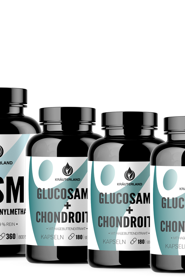 Nahrungsergänzung mit MSM Kapseln und 3x Glucosamin + Chondroitin Kapseln
