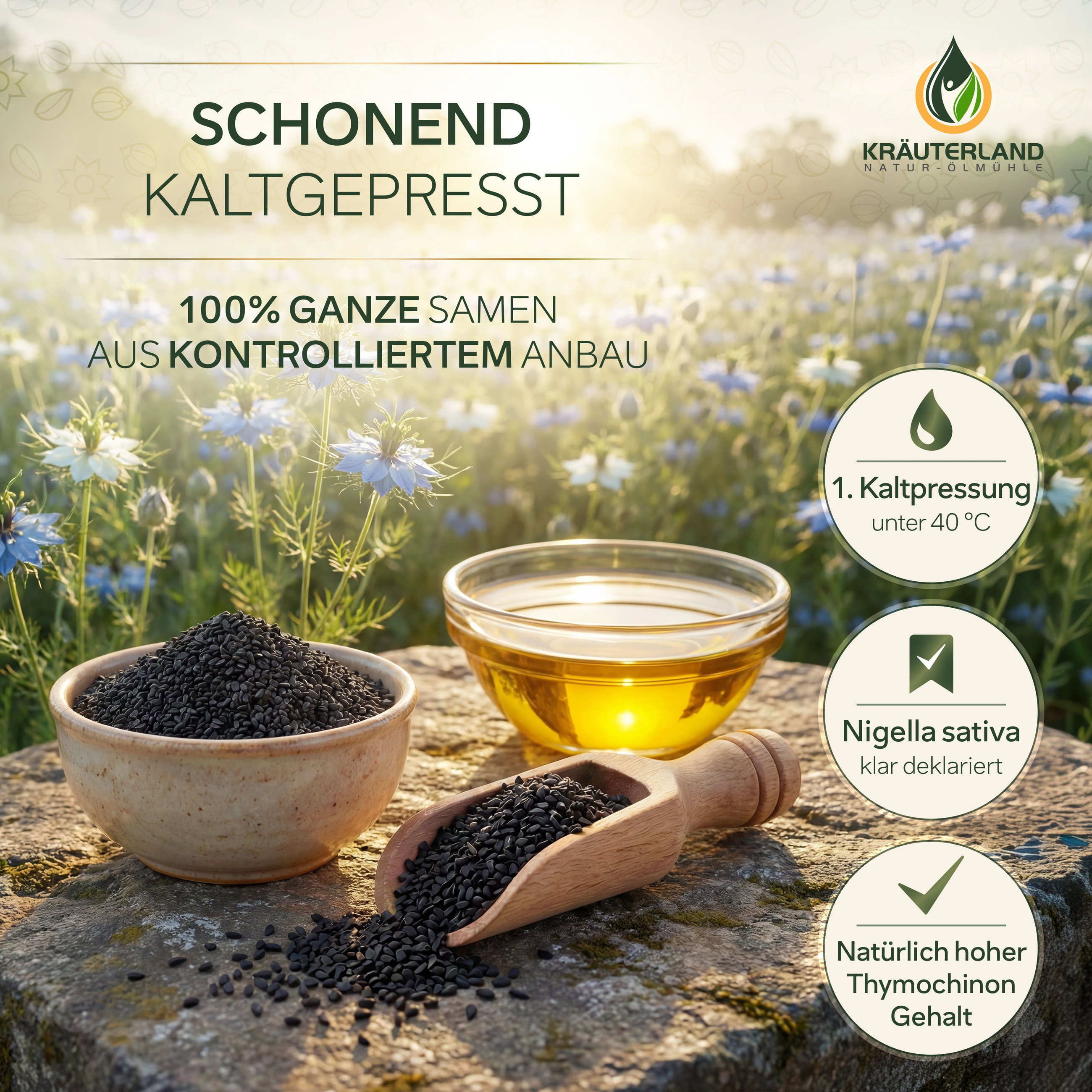 Schonend kaltgepresstes Schwarzkümmelöl gefiltert Gefiltertes Schwarzkümmelöl von Kräuterland, schonend kaltgepresst aus ganzen Nigella sativa Samen aus kontrolliertem Anbau