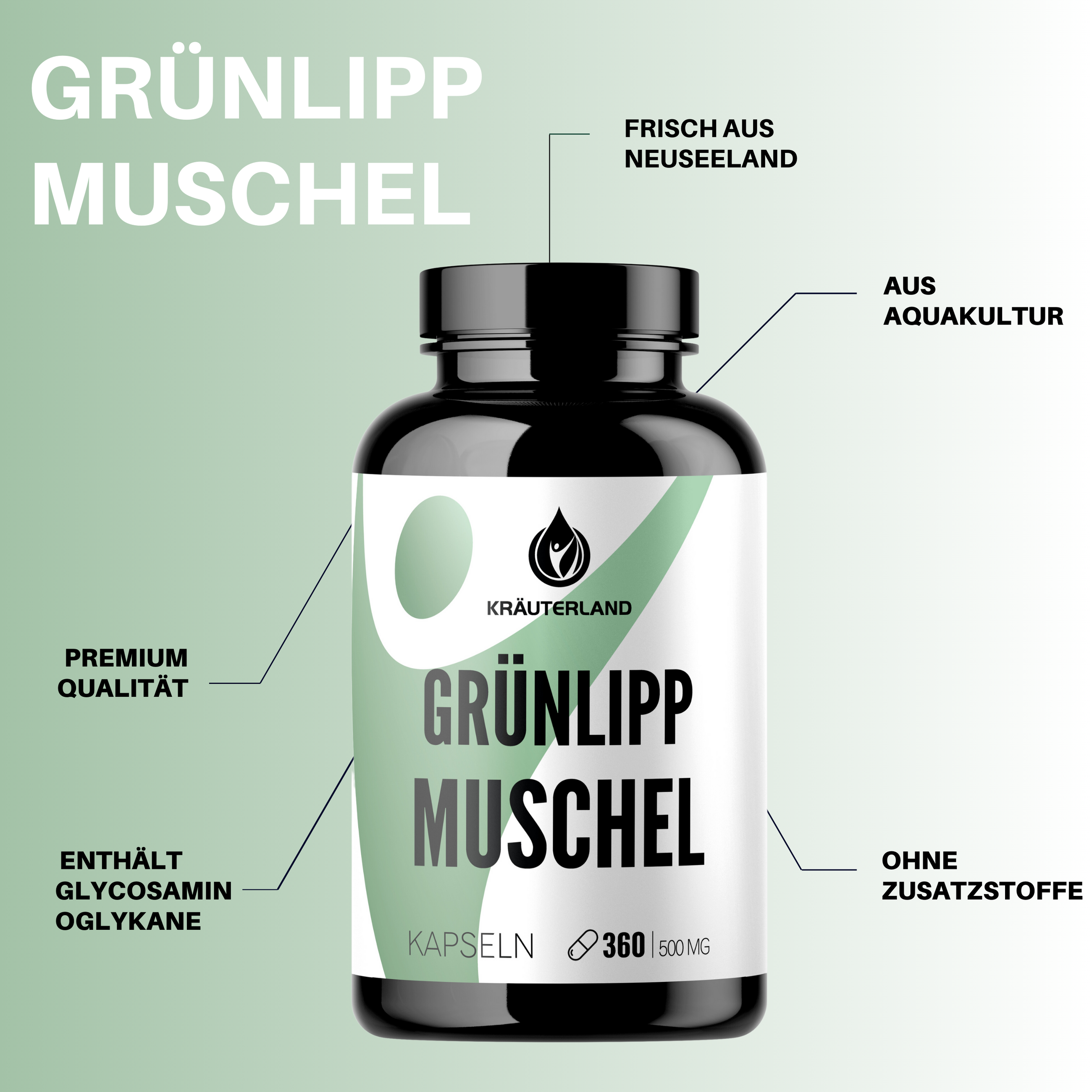 Eigenschaften von Grünlippmuschel Kapseln 360 Stück Eigenschaften von Grünlippmuschel Kapseln 360 Stück