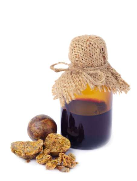 Propolis Tinktur im Glas Propolis Tinktur im Glas
