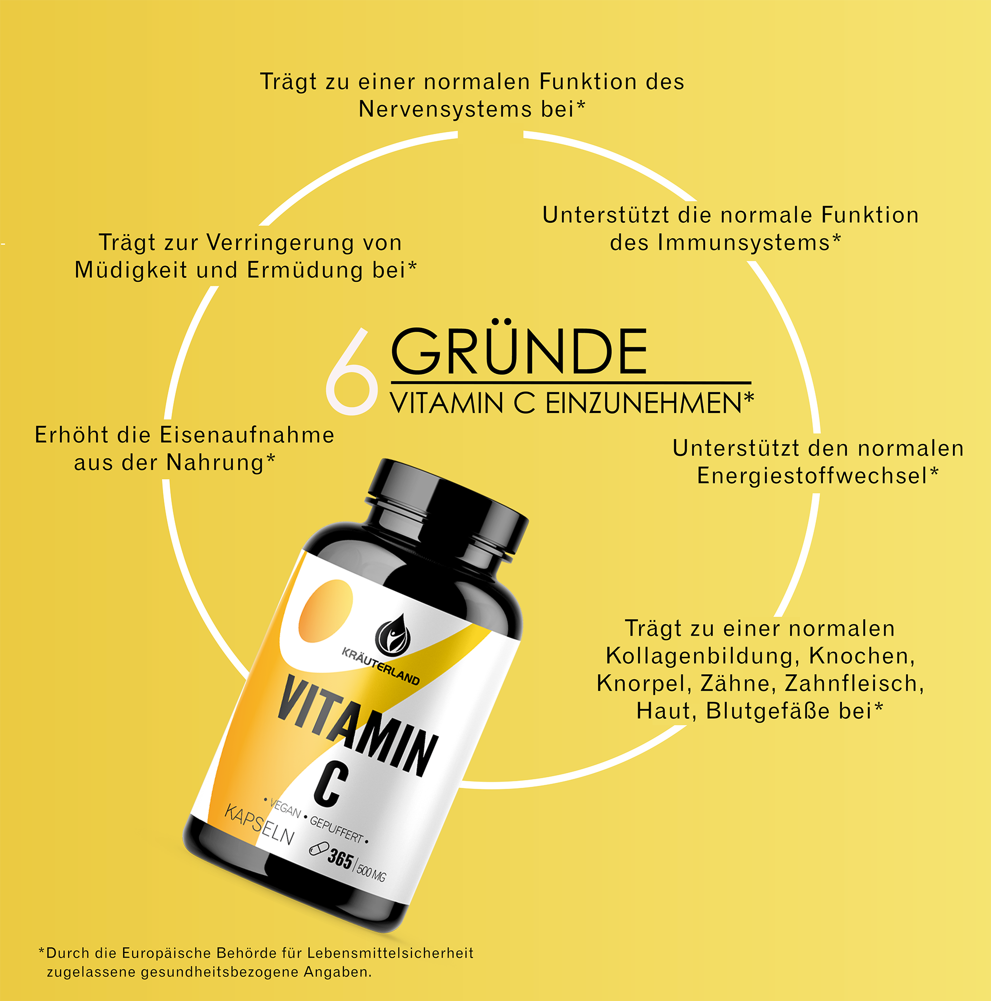 Vitamin C Kapseln 365 6 Gründe einzunehmen