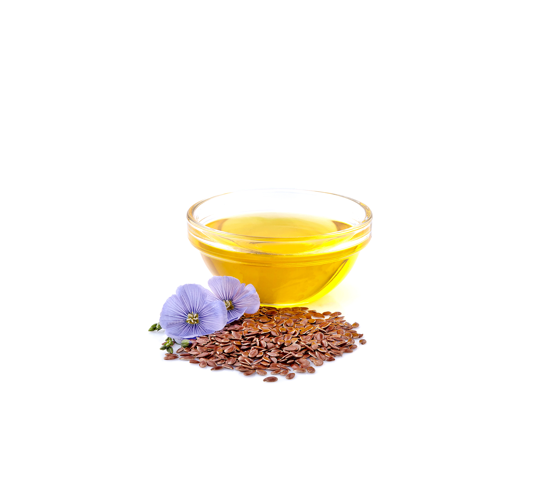 AdobeStock_423040233