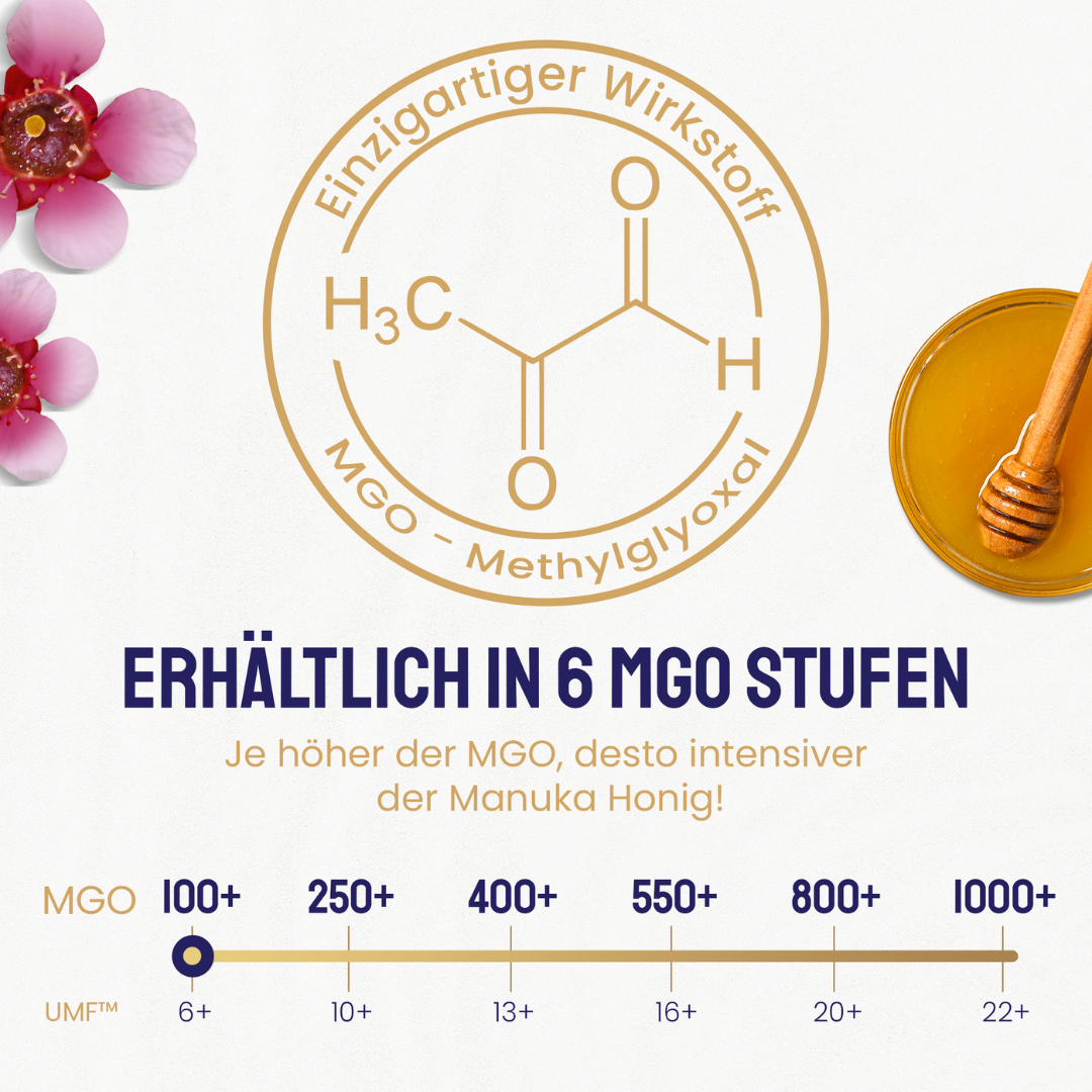 Infografik mit chemischer MGO-Formel und Skala der verfügbaren MGO-Stufen von 100+ bis 1000+, Hinweis: Je höher der MGO-Wert, desto intensiver der Manuka Honig.
