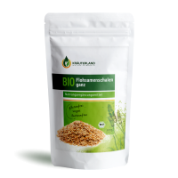 Bio Flohsamenschalen 500g